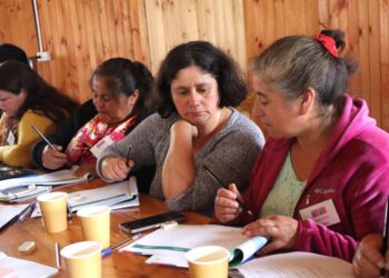 Mujeres del mar chilotas fortalecen sus emprendimientos gracias a proyecto INDESPA–FOSIS