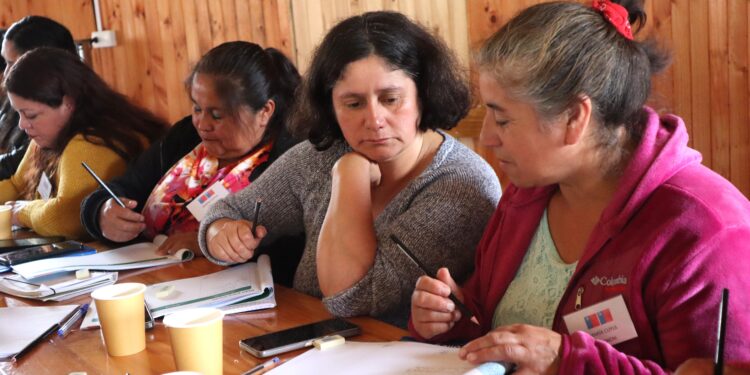 Mujeres del mar chilotas fortalecen sus emprendimientos gracias a proyecto INDESPA–FOSIS