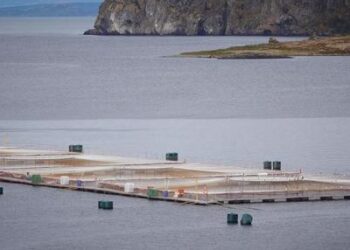 Subpesca inicia primera etapa de revisión de solicitudes de relocalización de concesiones acuícolas