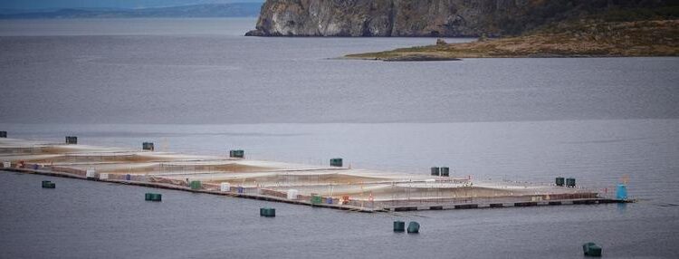 Subpesca inicia primera etapa de revisión de solicitudes de relocalización de concesiones acuícolas