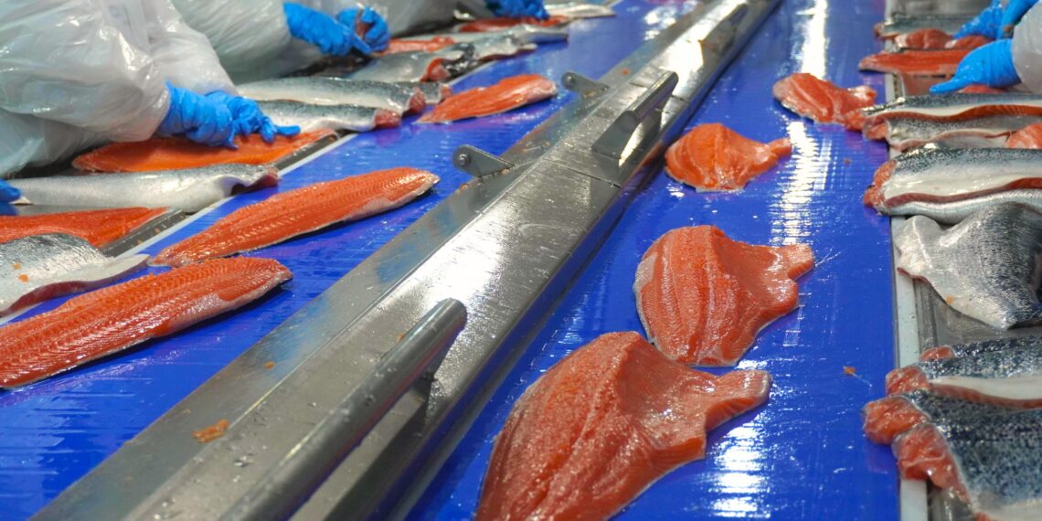 Industria del salmón sigue creciendo por gestión interna pero advierte techo de crecimiento