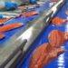 Industria del salmón sigue creciendo por gestión interna pero advierte techo de crecimiento