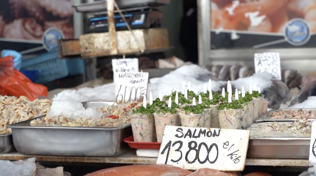 Estudio UdeC aborda riesgos de zoonosis de origen marino y promueve estrategias de prevención en el país
