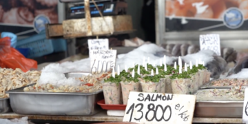 Estudio UdeC aborda riesgos de zoonosis de origen marino y promueve estrategias de prevención en el país