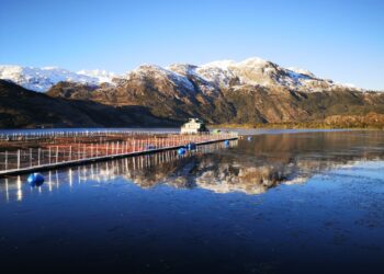 Invermar se incorpora como nuevo asociado a SalmonChile