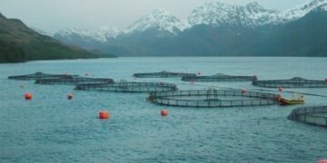 Comisión Nacional de Acuicultura revisó agenda de medidas para fortalecer el desarrollo sostenible del sector