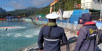 Sernapesca activa procedimiento de verificación ante caso sospechoso de virus ISA en centro de cultivo de Aysén