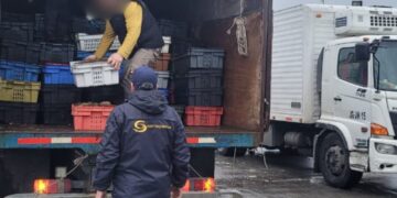 Pasó agosto: finaliza veda de la merluza austral