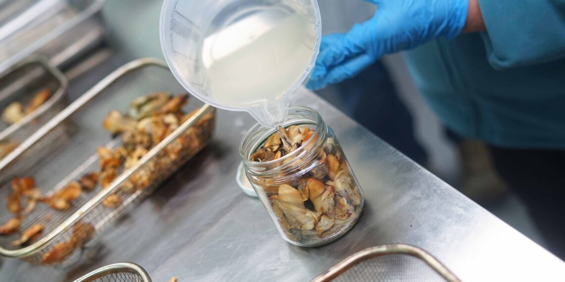 Pescadoras artesanales de Quemchi se capacitaron en la elaboración de alimentos con valor agregado en Puerto Montt