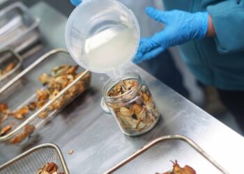 Pescadoras artesanales de Quemchi se capacitaron en la elaboración de alimentos con valor agregado en Puerto Montt