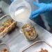 Pescadoras artesanales de Quemchi se capacitaron en la elaboración de alimentos con valor agregado en Puerto Montt