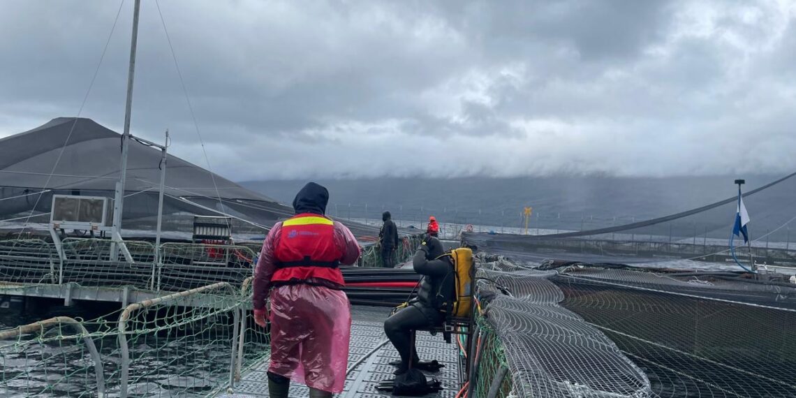 Sernapesca informa detección de virus ISA en nuevo centro de cultivo de la región de Aysén