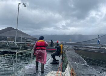Sernapesca informa detección de virus ISA en nuevo centro de cultivo de la región de Aysén